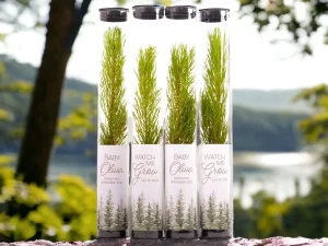 Watch Me Grow Baby Shower Gift Tree