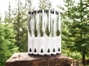 Gift Tree Wedding Favor